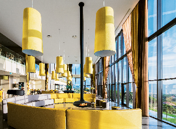 Gyrofocus - version noir