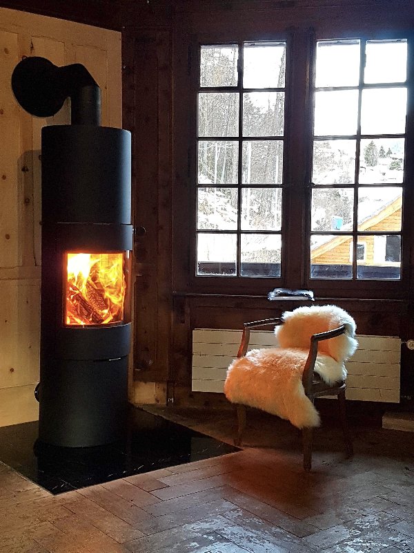 Attika Viva 160L Wood Stove - Carron-Lugon