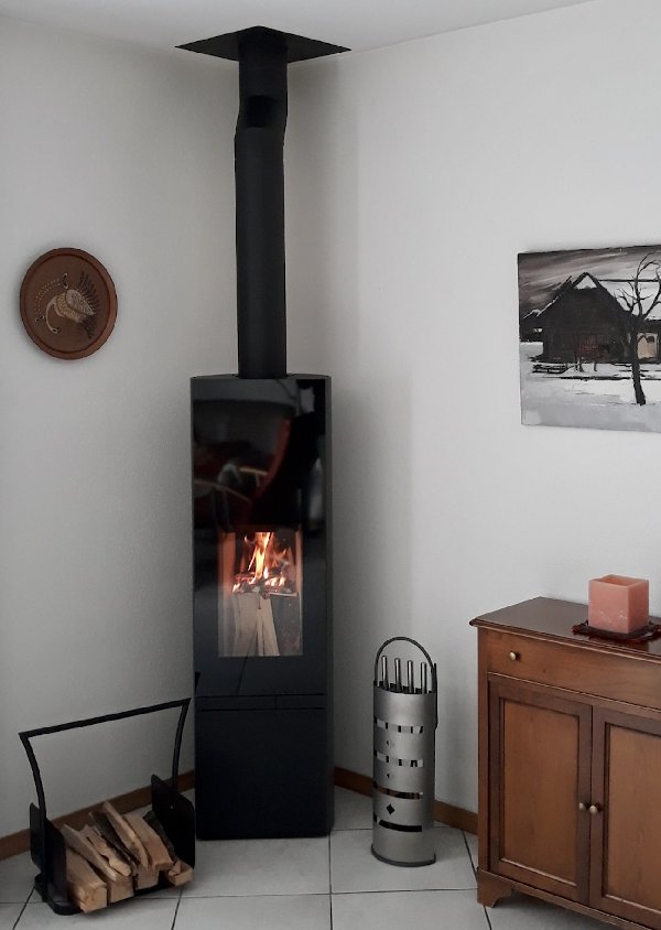 Tonwerk T-Two Swing Wood Stove - Carron-Lugon