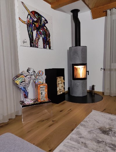 Wood stove - Carron-Lugon