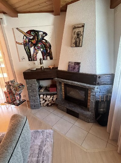 Wood stove - Carron-Lugon
