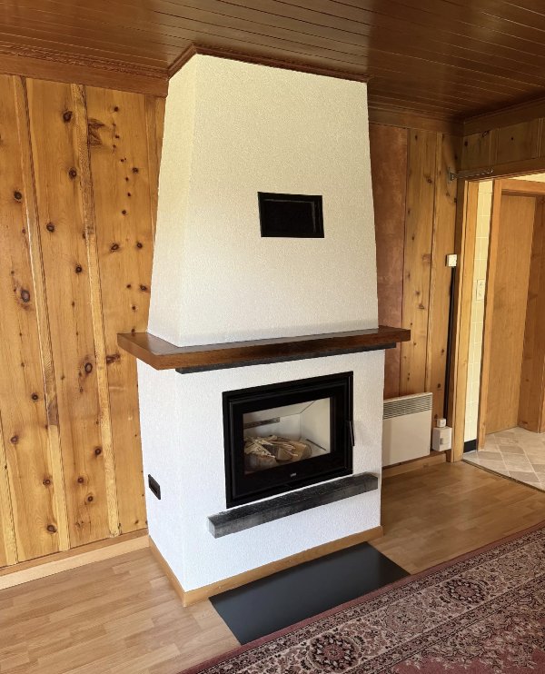 Fireplace insert - Carron-Lugon