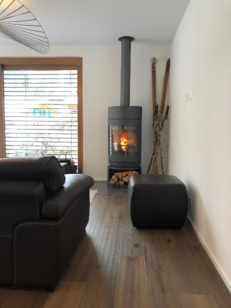 Wood-burning stove Skantherm Emotion M - Carron-Lugon